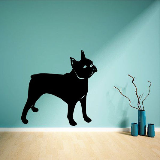 Image of Detailed Boston Terrier Decal