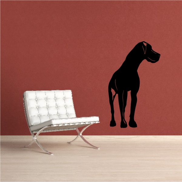 Black Great Dane looking over decal silhouette