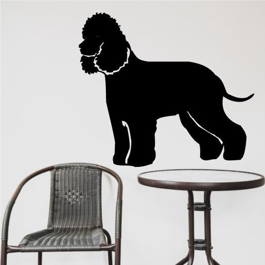 Image of Detailed Irish Water Spaniel Decal