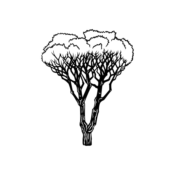 Image of Detailed Tree Decals