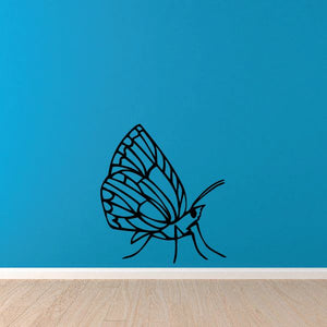 Black detailed wing moth decal with spread wings and long antenna