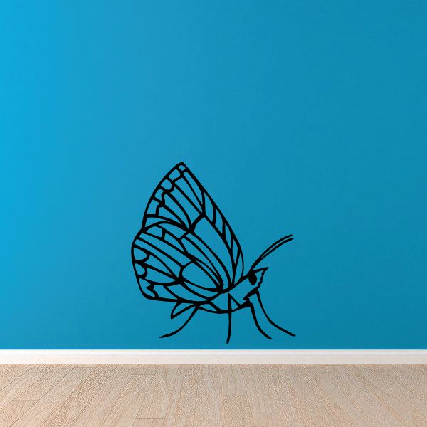 Black detailed wing moth decal with spread wings and long antenna