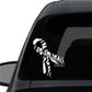 Ehlers Danlos ribbon vinyl sticker on car window, black/white stripes