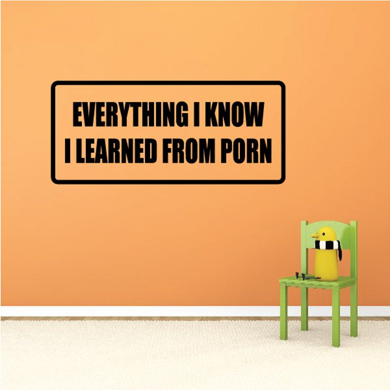 Image of Everything I know I learned from porn Decal