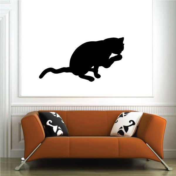 Image of Exotic Short Hair Cat Grooming Decal