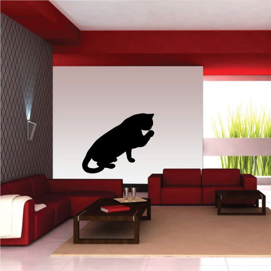 Image of Exotic Short Hair Cat Licking Decal