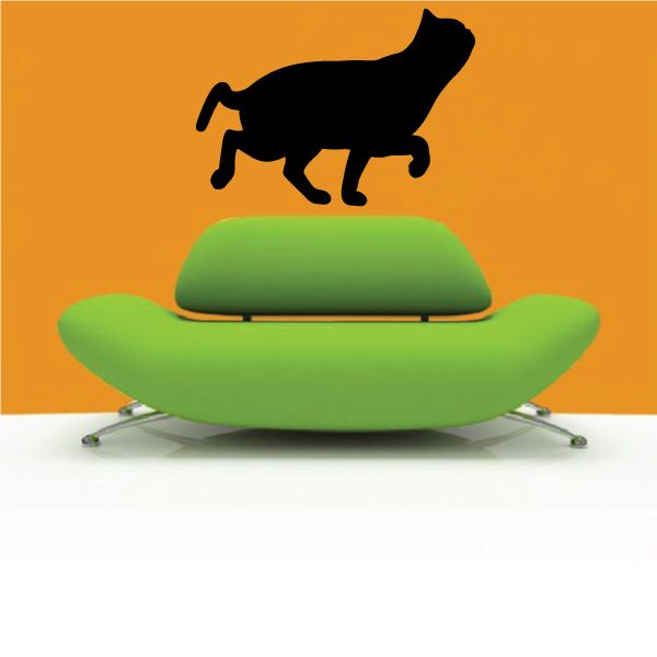 Image of Exotic Short Hair Cat Prancing Decal