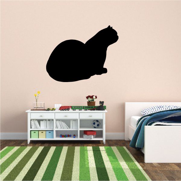 Image of Exotic Short Hair Cat Sitting Decal