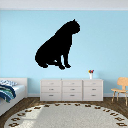 Image of Exotic Short Hair Cat Sitting Upward Decal