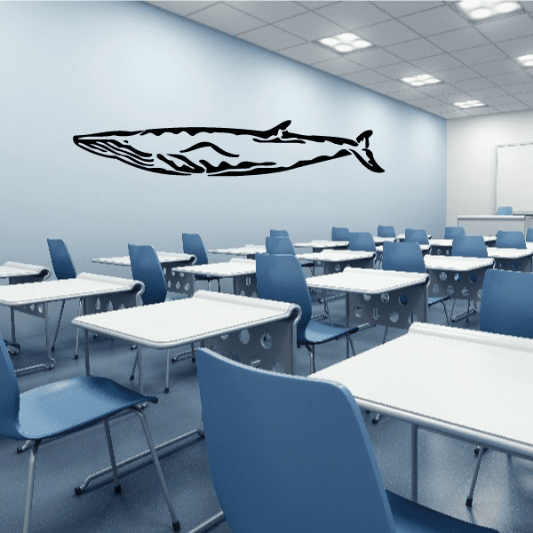 Image of Fin Whale Decal