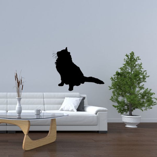 Image of Fluffy Cat Looking Up Decal