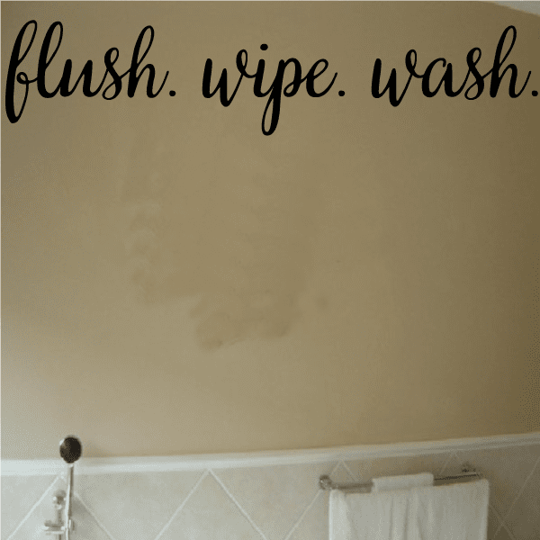 Bathroom wall decal with cursive text: flush. wipe. wash.