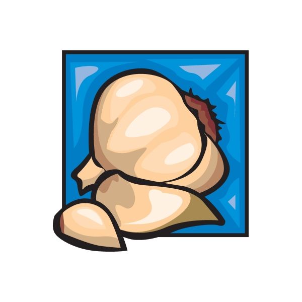 Image of Garlic Sticker