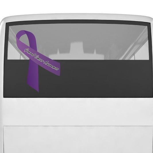 Image of General Cancer Awareness Ribbon Vinyl Sticker