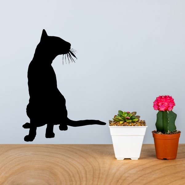 Image of Glancing Cat Decal