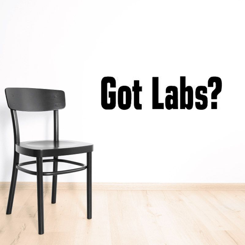 Got labs Wall Decal - Vinyl Decal - Car Decal - DC0047 – Vinyl Disorder