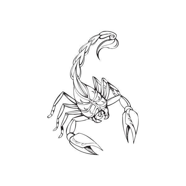 Scorpion decal with detailed black outline artwork