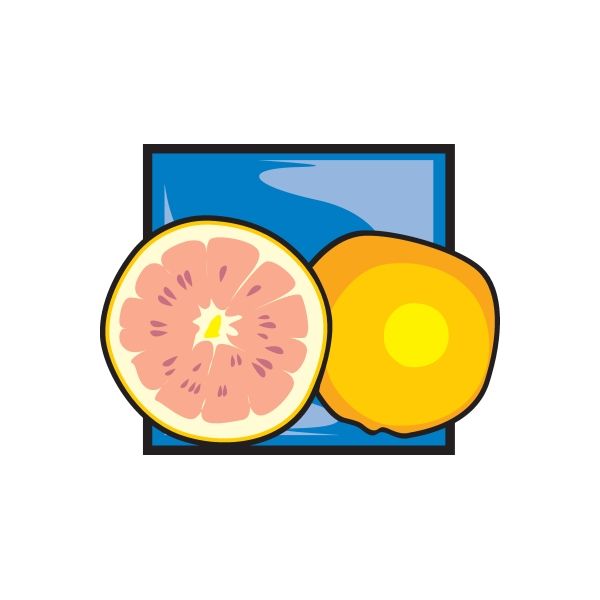 Grapefruit slice and yellow fruit sticker, two cut fruit icons