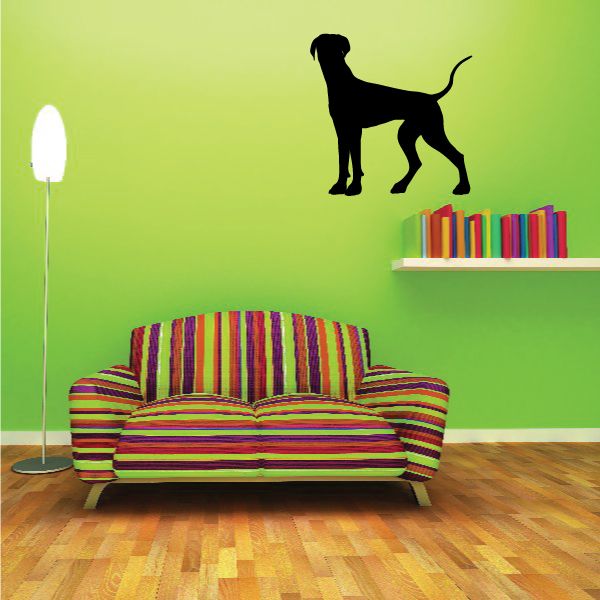 Black Great Dane looking ahead vinyl decal silhouette