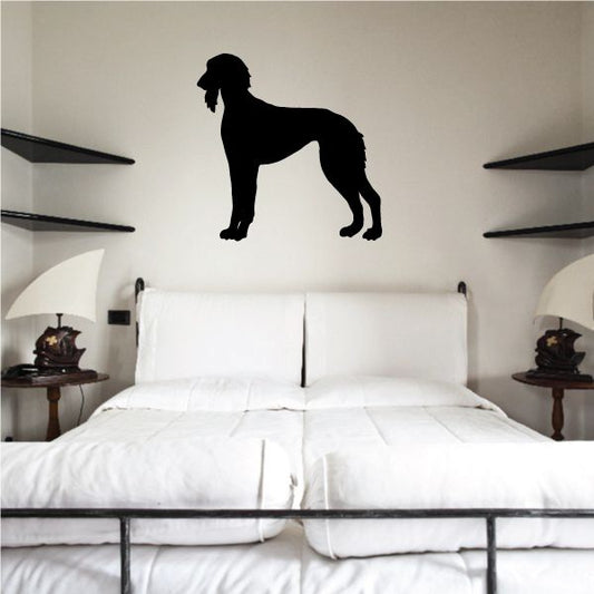 Image of Groomed Saluki Decal