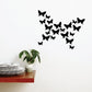 Grouped butterfly wall decal stickers with black butterflies