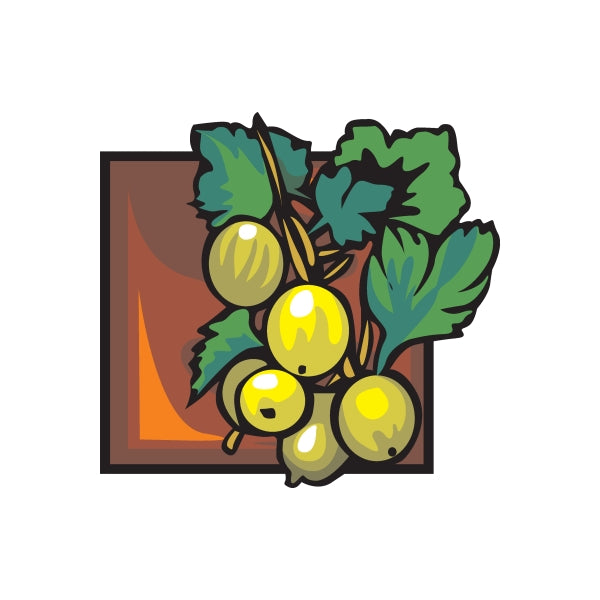 Image of Growing Pears Decal