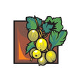 Image of Tomato Stickers