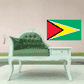 Guyana flag sticker with red, black, gold triangle and green field