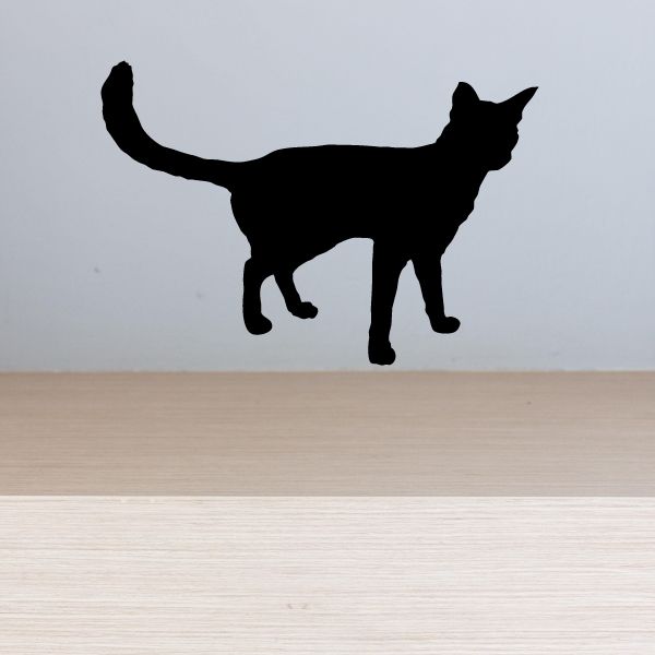 Image of Handsome Curious Cat Decal