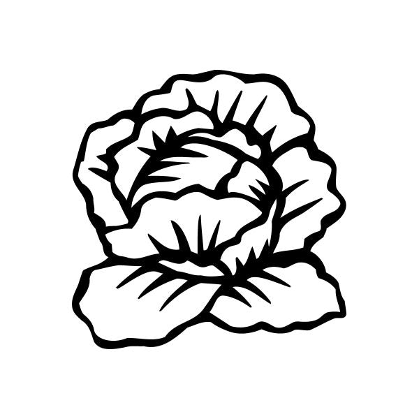Lettuce head decal, bold black-and-white line art