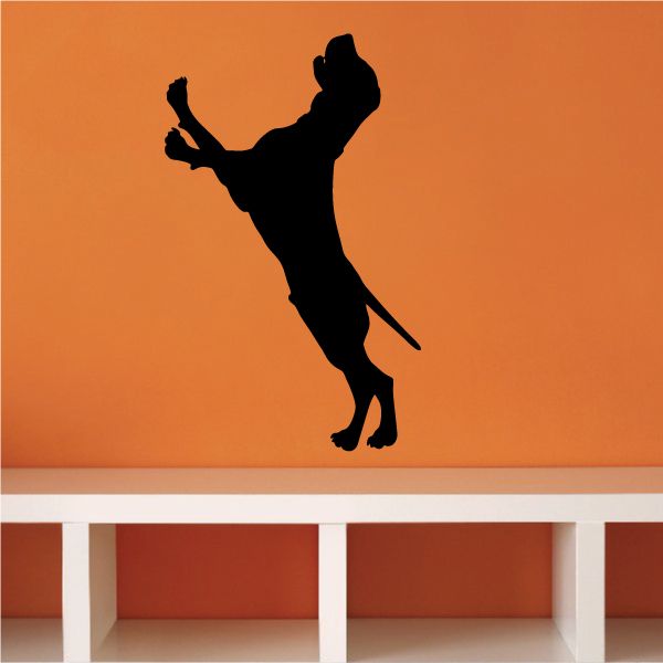Hunting coonhound decal with black coonhound silhouette standing in hunting pose