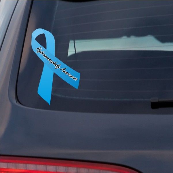 Image of Hydranencephaly Awareness Ribbon Vinyl Sticker