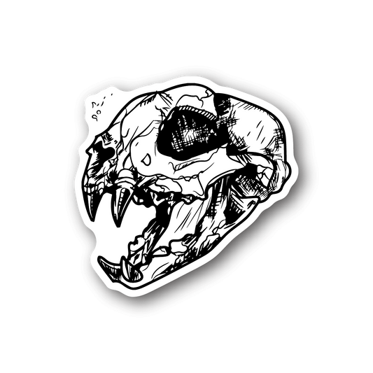 Skull vinyl sticker with black-and-white detailed jaw and teeth