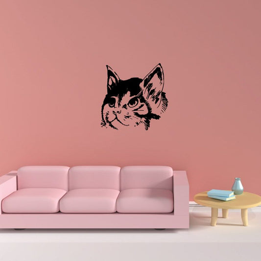 Image of Kitten Face Marking Decal