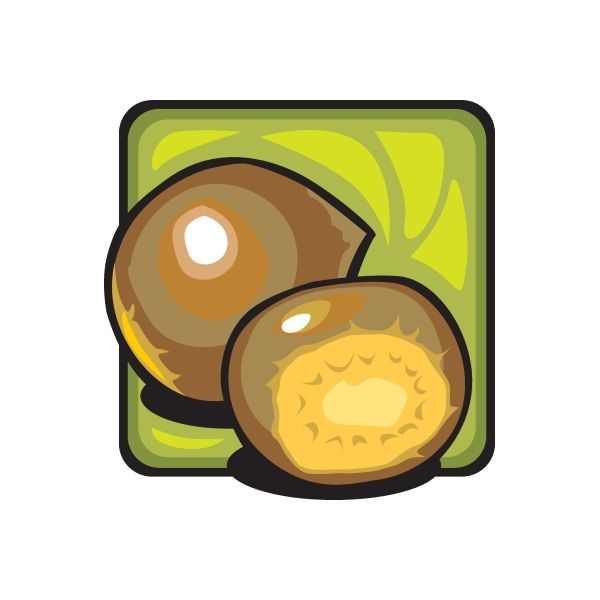 Kiwi fruit sticker with two kiwi halves on rounded square