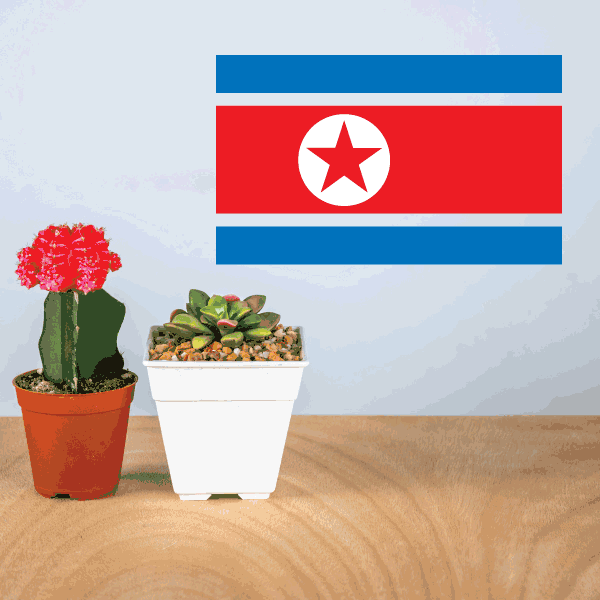 Flag sticker with red and blue stripes and white star in a circle