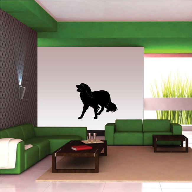 Kooikerhondje dog decal, black silhouette standing on all fours