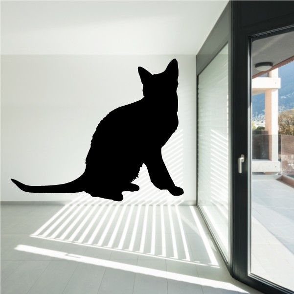 Image of Korat Cat Sitting Up Decal