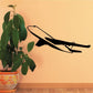 Large airliner flying decal, black airplane silhouette in flight