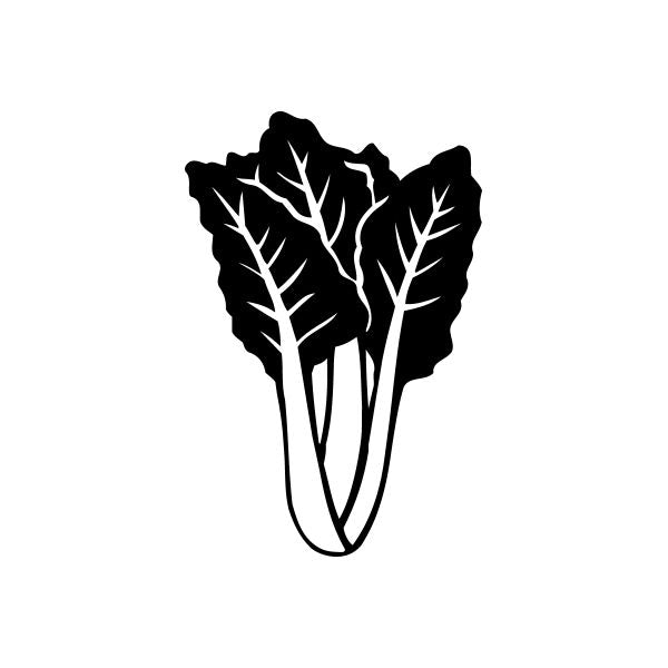 Lettuce decal with dark leaves and white vein lines