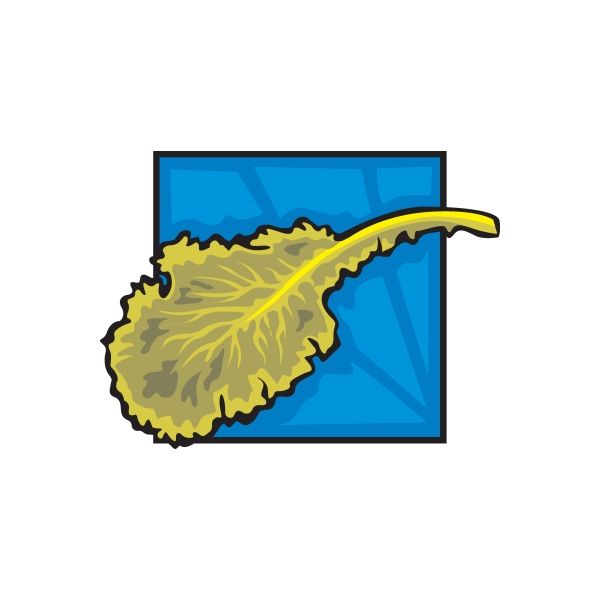 Image of Lettuce Leaf Sticker