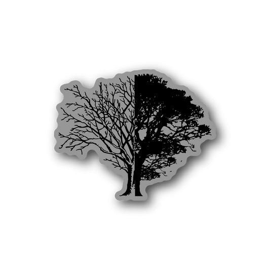 Vinyl tree sticker with split light and dark leafless canopy and branches