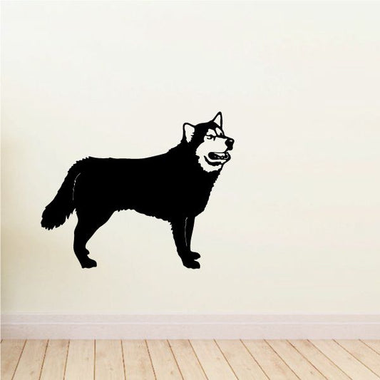 Image of Light Faced Alaskan Malamute Decal