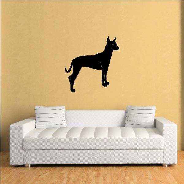 Looking Xoloitzcuintli dog decal, black standing silhouette
