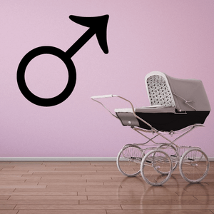 Mars astrological symbol decal with black male symbol outline