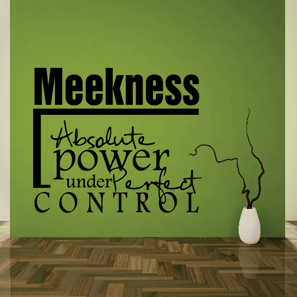 Image of Meekness absolute power under perfect control Decal