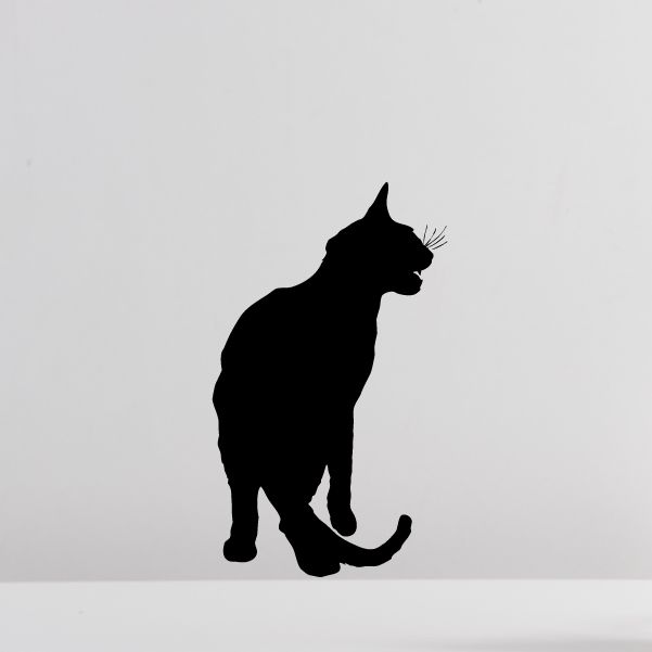 Image of Meowing Cat Decal