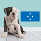 Micronesia flag sticker, blue rectangle with four white stars