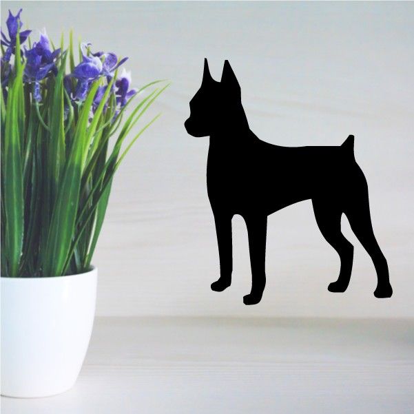 Black Miniature Pinscher silhouette decal