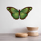 Moth butterfly wall decal with green and brown wings spread